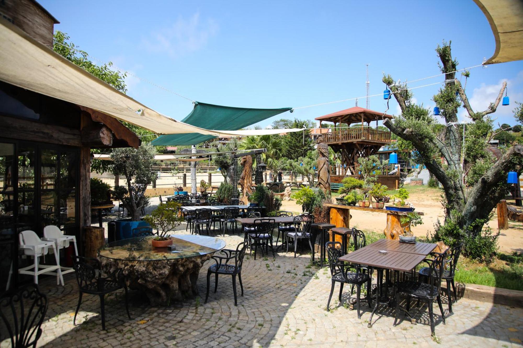 Station touristique Mavi At Blue Horse Gumusdere