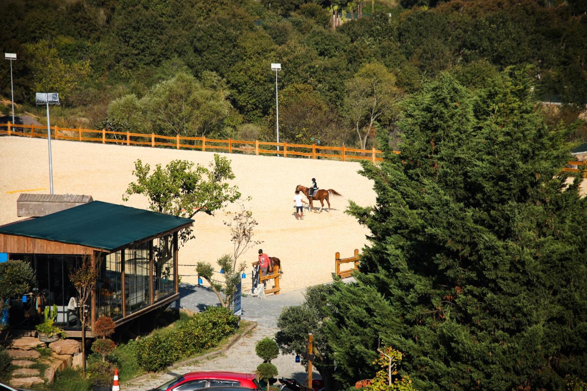 Station touristique Mavi At Blue Horse *